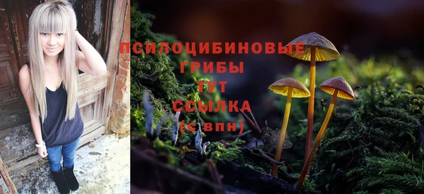 ГАЛЛЮЦИНОГЕННЫЕ ГРИБЫ Медногорск