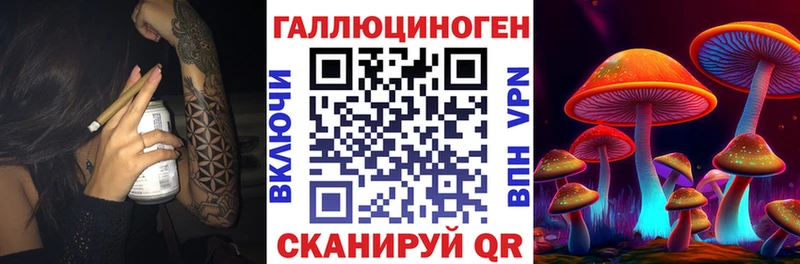 купить  сайты  Наволоки  ссылка на мегу ссылка  Галлюциногенные грибы GOLDEN TEACHER 