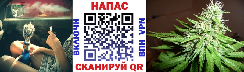 Бошки Шишки планчик Наволоки
